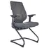 2002E-46 Conference meeting chair
