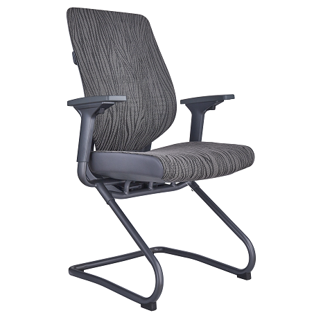 2002E-46 Conference meeting chair