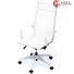 0517B-1TP4 white mesh office chair